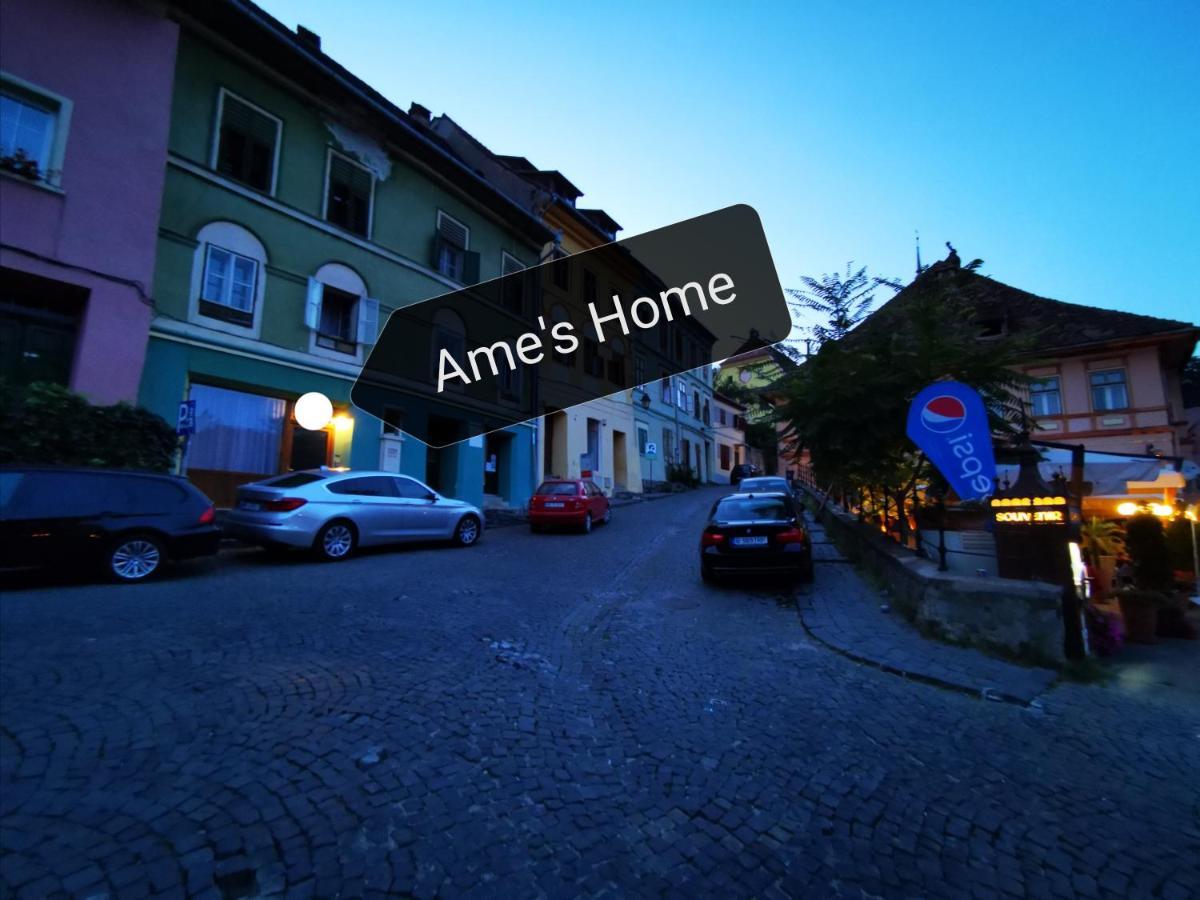 Ame'S Home Sighisoara Ngoại thất bức ảnh